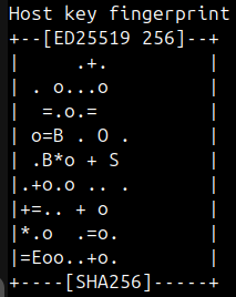 Cut part of screenshot of black Linux terminal, displaying ssh key randomart. Bunch of random characters is in shape similar to silhouette of golem from the first picture.