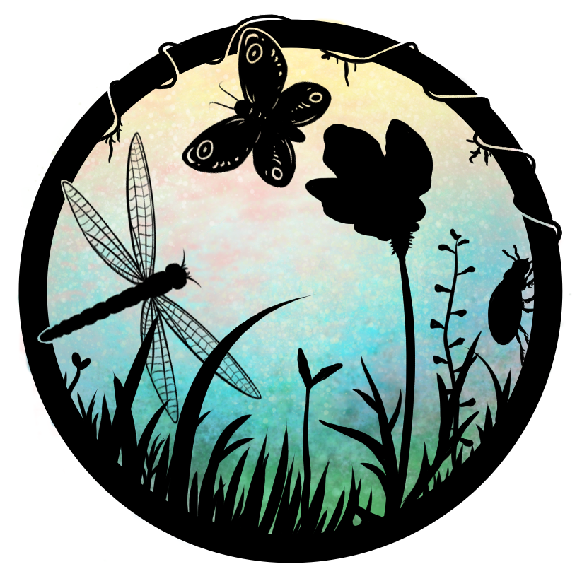 Stylized drawing of a small, focused fragment of meadow, made of black silhouettes. There are some small plants with tiny leaves  between the grass and one bigger flower, with shape similar to poppy. There is small butterfly and slightly bigger dragonfly above all these plants. Some beetle is climbing round frame of this picture. Frame itself is stylized as it was wrapped in some thin vine. Inside this circle there is mixed colour background, orange and yellow in upper part, becoming bright blue in the middle and green at the bottom.